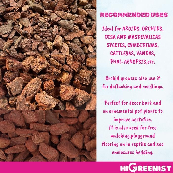 Mode Vintage Pine Bark Premium (5L) - Media Tanam Pine Bark - Media Tanam Anggrek Dan Aroid -