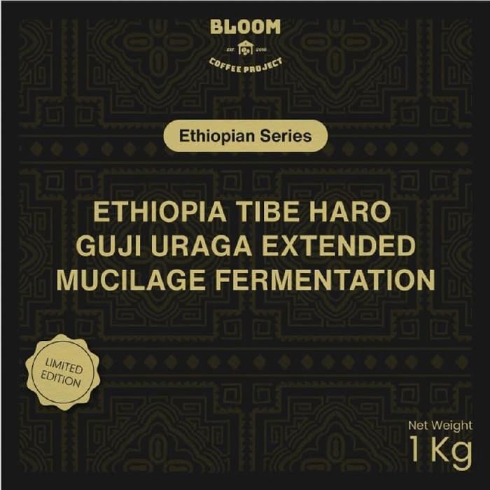

Ethiopia Tibe Haro Guji Uraga - Extended Mucilage Fermentation - Specialty Grade Coffee