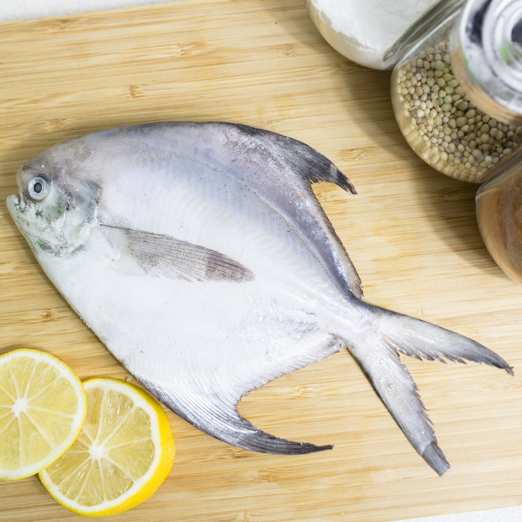 

Ikan Bawal Putih 500 gram