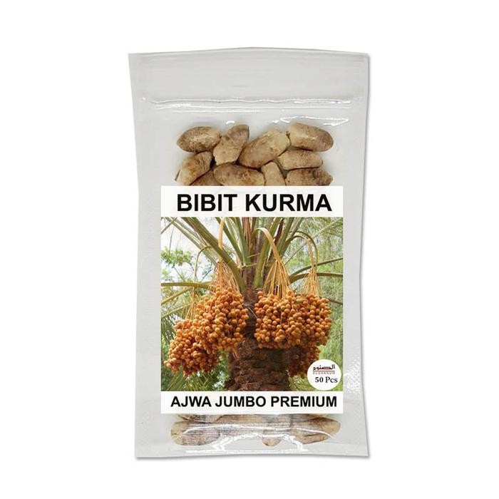 BIBIT KURMA AJWA PREMIUM / KURMA AJWA JUMBO / BENIH AJWA UNGGUL