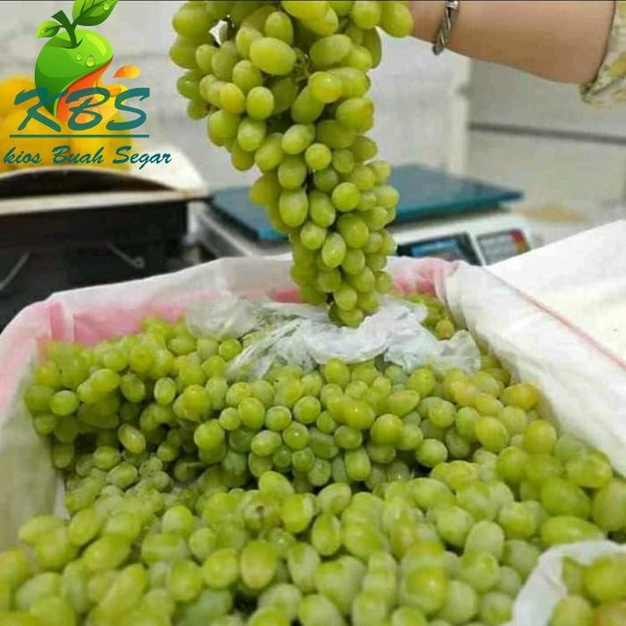 

SIAPKIRIM anggur hijau tanpa biji manis 1000 gram READY STOCK