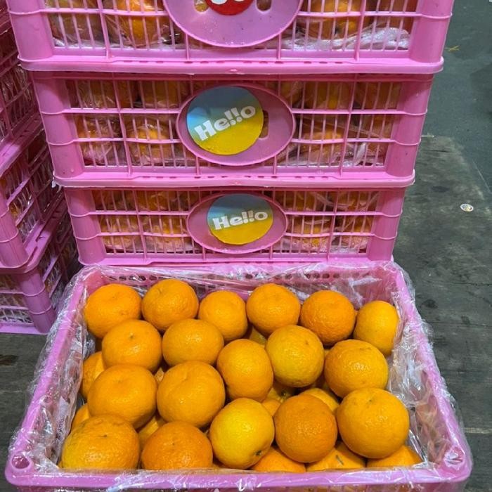 

ASLI Jeruk Wokam Wogan per keranjang Manis Jeruk Mandarin Grab/Gojek 6kg READY STOCK