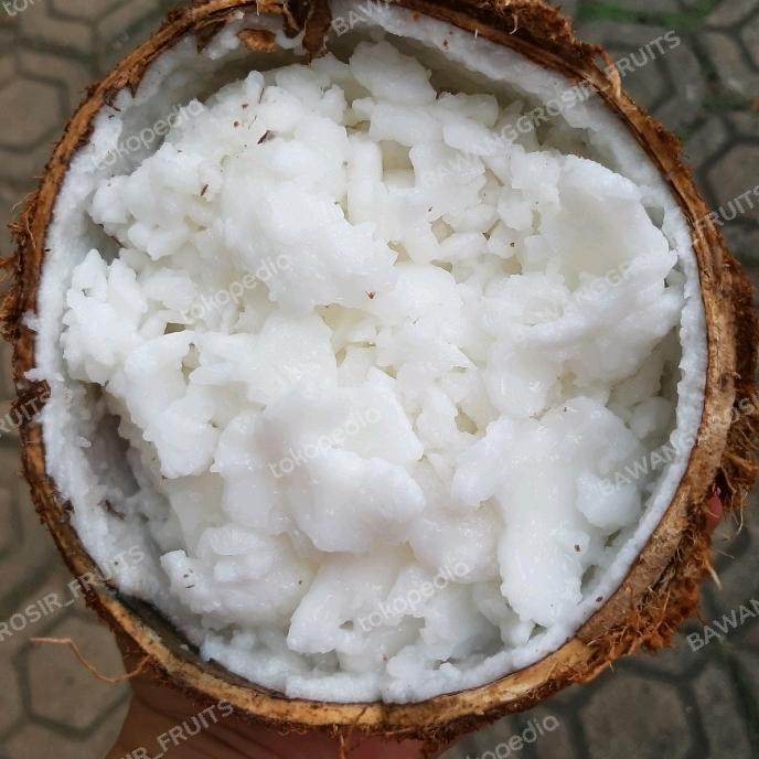 

ORIGINAL Kelapa Kopyor khas Pati Besar coconut fruit sweet Large READY STOCK