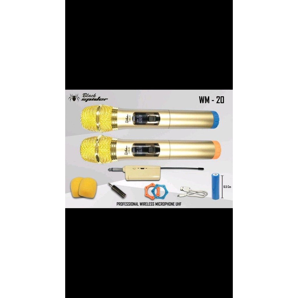 Mic blackspider WM20