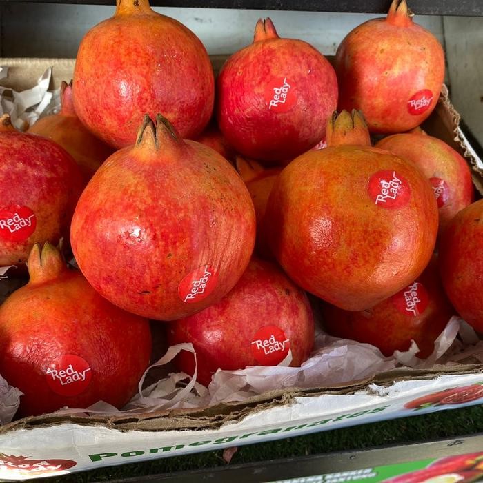 

ASLI buah delima merah READY STOCK