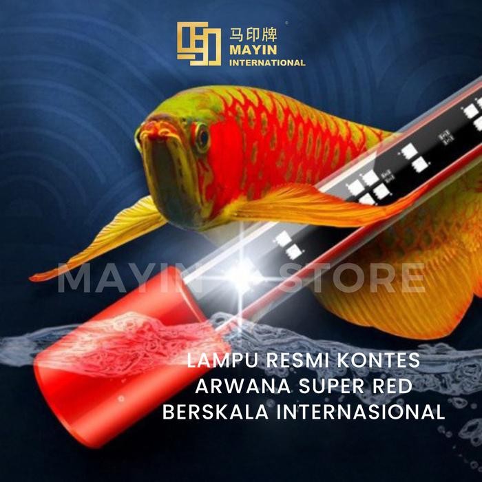 MAYIN LAMP VIEW 92CM LAMPU LED CELUP AQUARIUM IKAN AROWANA ARWANA KOKI - 92 CM, PACKING PVC
