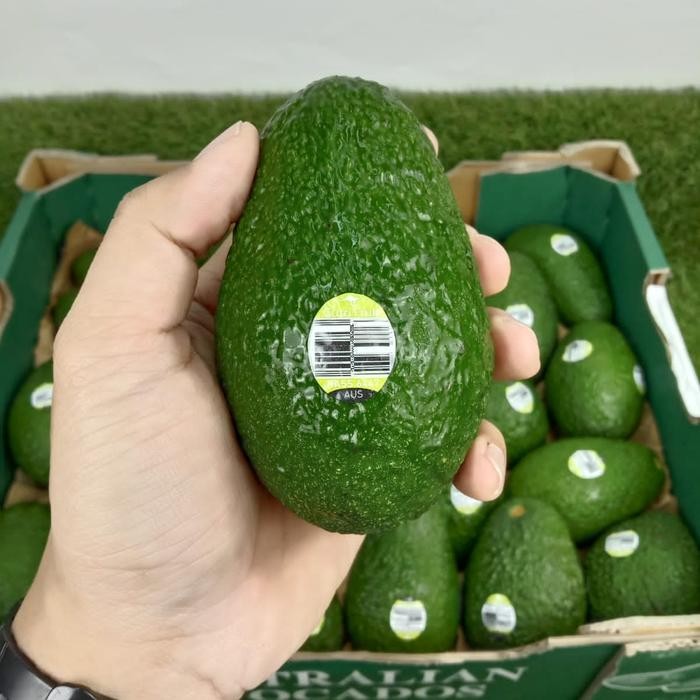 

TERLARIS Avocado Hass Ausie Alpukat Hass Australia Fresh Import 1box READY STOCK