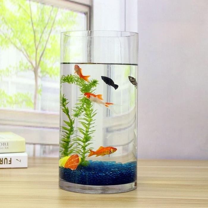 Aquarium Mini Kaca Tabung / Akuarium Ikan Hias Kecil Guppy Cupang / Aquascape Pasti Diskon