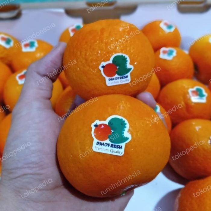 

SIAPKIRIM jeruk wogan dino fresh 8kg up/ jeruk wogan premium dino fresh 8kg up READY STOCK