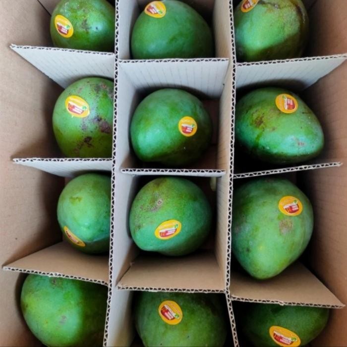 

ASLI Buah Mangga Alpukat 1 dus READY STOCK