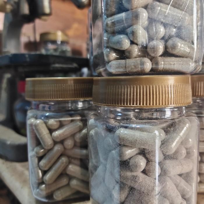 

(Allthebest) Kapsul Cacing Lumbricus isi 100 Kapsul