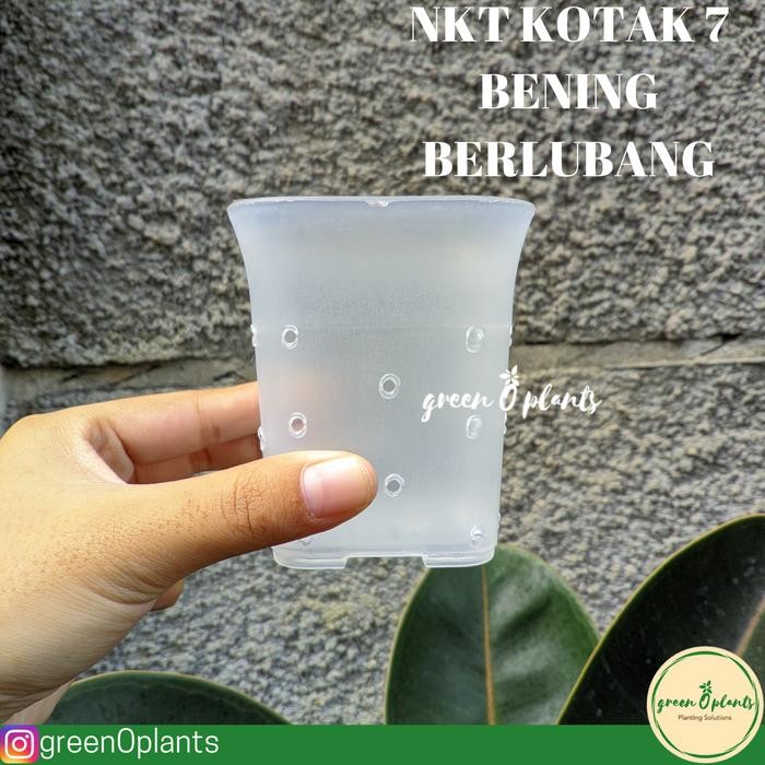 Pot NKT Kotak No.7 Bening Berlubang *