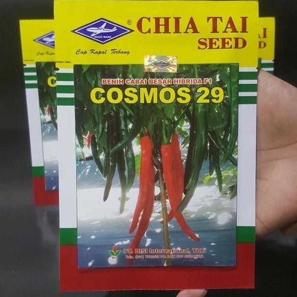 Benih Bibit Cabai Besar Hibrida Cosmos 29 F1 10gr 10 gr Biji Cabe BISI