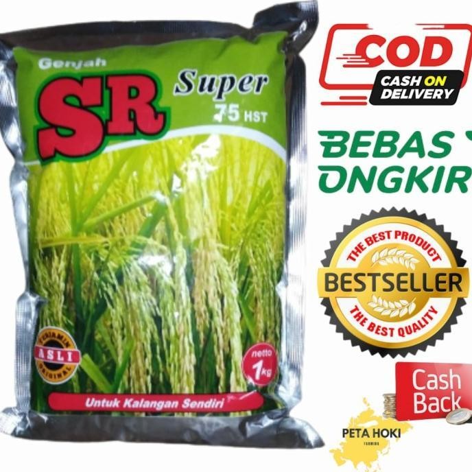 Benih Padi SR super genjah cepat panen bibit padi sr Sri Republik asli