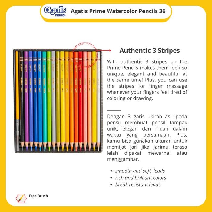 

Pensil Warna Watercolor Agatis Prime 36 Warna