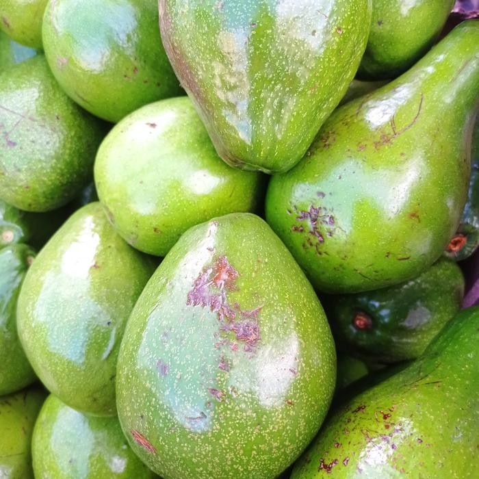 

TERLARIS Buah alpukat mentega harga per kg READY STOCK