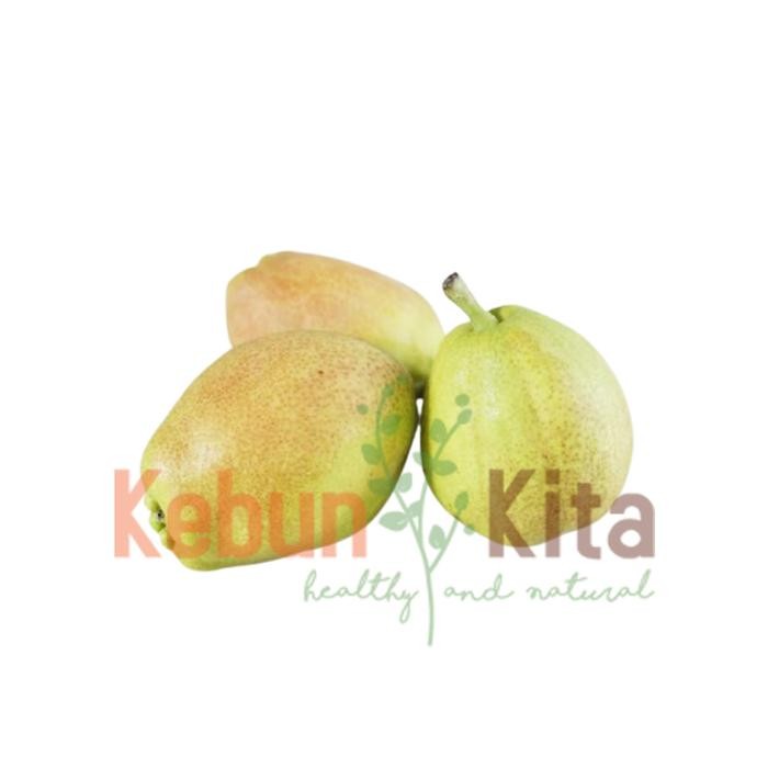 

TERMURAH Buah Pir - Pear Xiang Lie [ 4 pcs ] READY STOCK