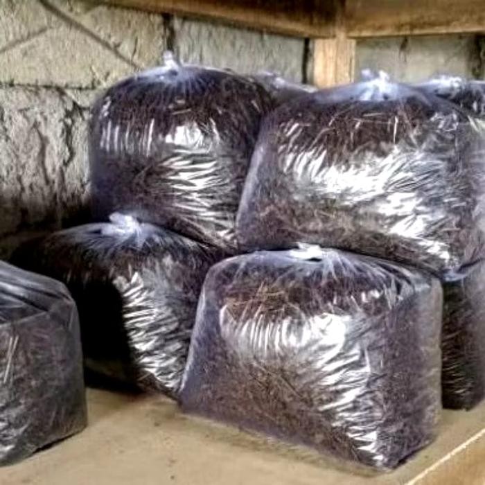 

1 Kilogram Teh Kemuning Mbok Karti Teh Hitam Original Racik sultan