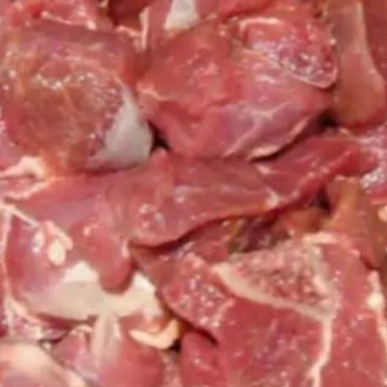 

Daging Kmbing Muda 1 Kilo Terlaris