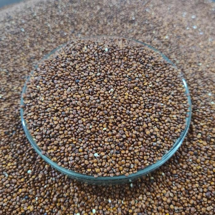 

Red Quinoa 1 Kg ( Quinoa Merah ) Best Quality Asli 100% Original