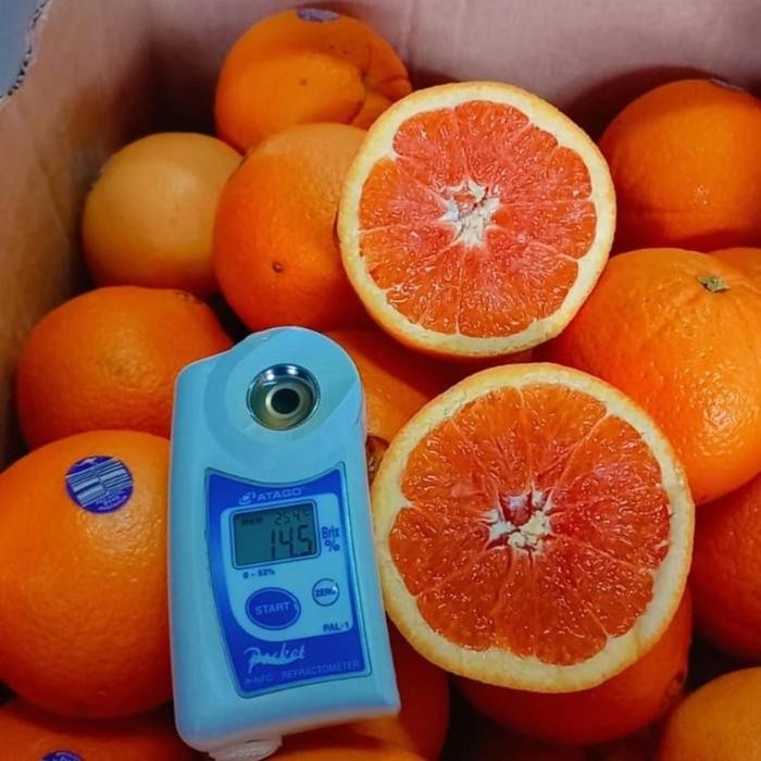 

TERMURAH Buah segar sankist cara-cara merah manis sankis potong buah jeruk READY STOCK