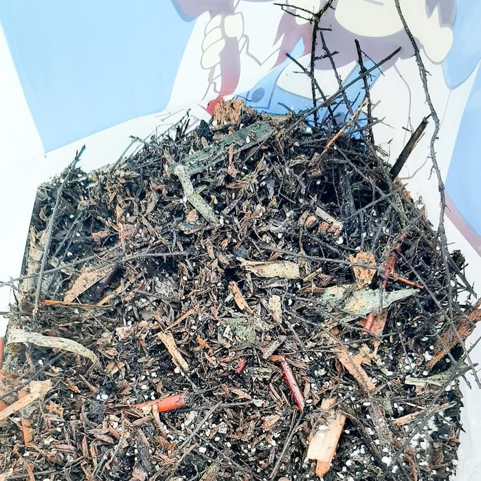 MEDIA TANAM METAZOIL TANAMAN HIAS AGLONEMA, MONSTERA DLL (GEEK FARMER)