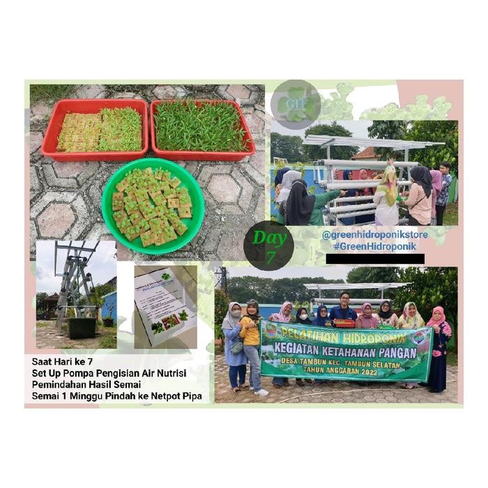 Paket Instalasi Rangka Full Set Kit Hidroponik 120 Lubang Tanam Model A Plus Atap Rangka Baja Ringan