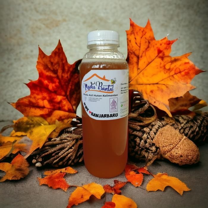 

MADU BANTAL, MADU ASLI HUTAN KALIMANTAN