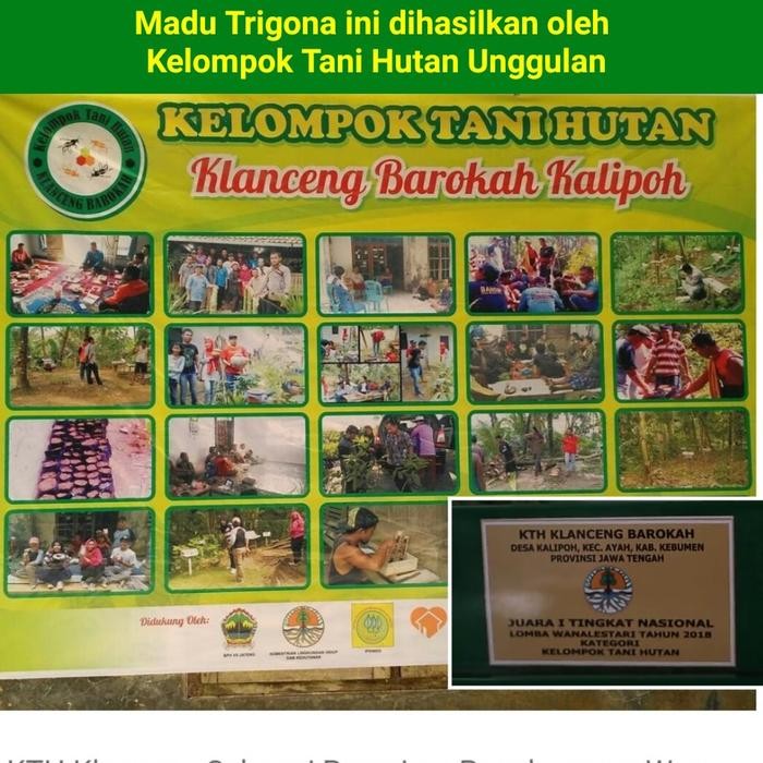 

MADU TRIGONA KELULUT ASLI MURNI 350 GRAM