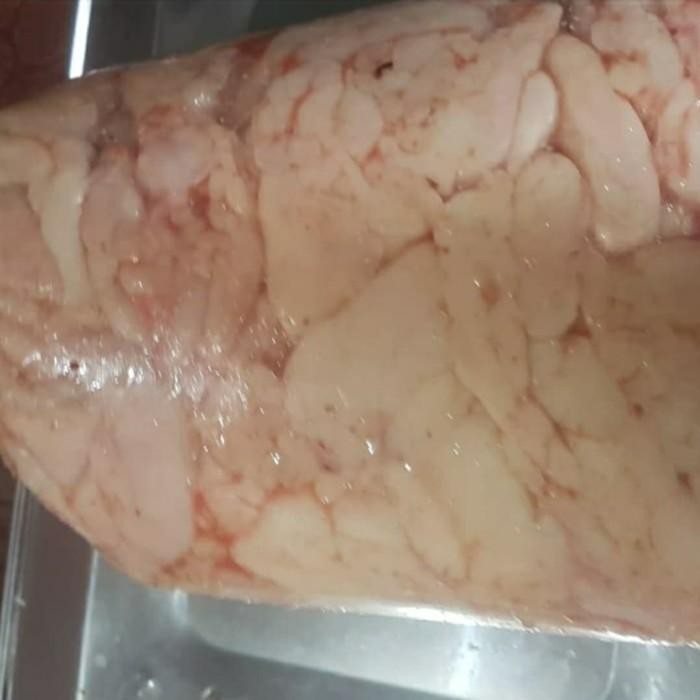 Minyak Ayam / Lemak Ayam Broiler