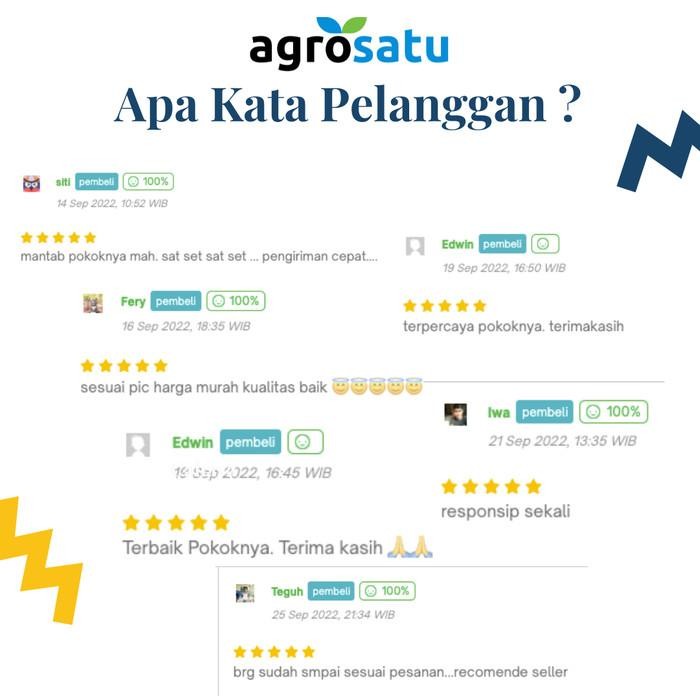 Vita B Plex Bolus Vitamin B Komplek Untuk Sapi Kuda Kambing Domba Babi