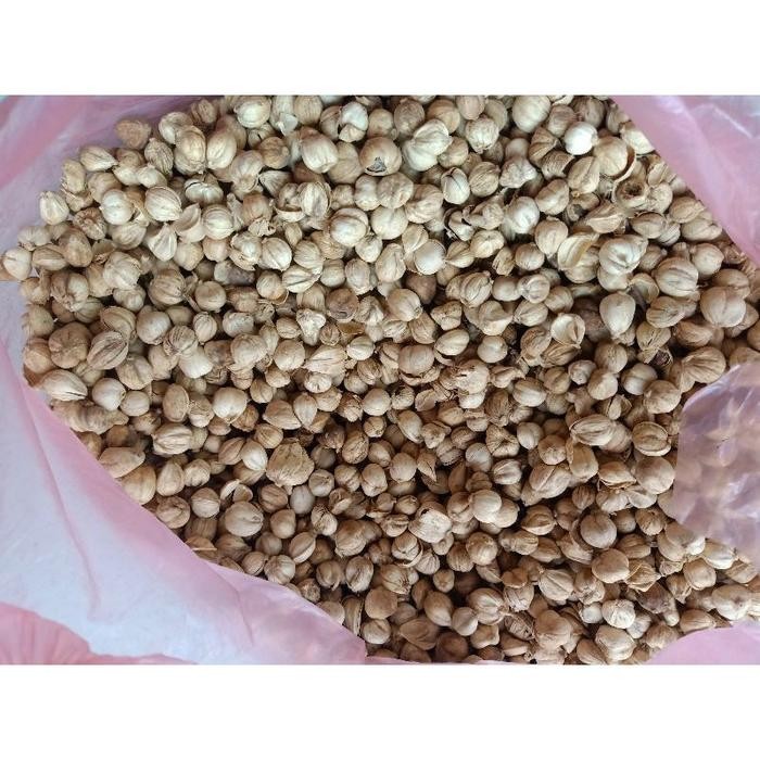 

Kapulaga Putih Jawa / Kapolaga / White Cardamon 1 KG Super Wangi Fresh