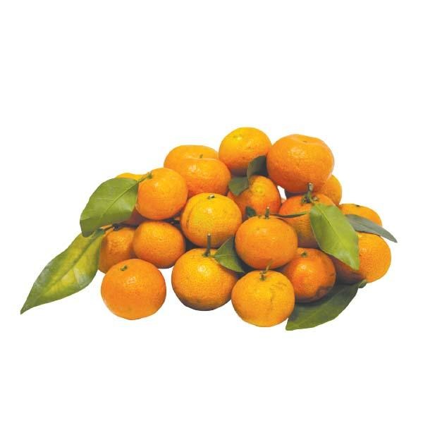 

ORIGINAL JERUK SANTANG DAUN 500-520 GR READY STOCK