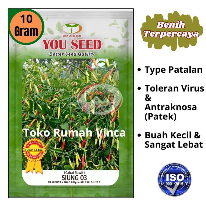 Benih Bibit Tanaman Cabe Rawit Putih Setan tipe Patalan SIUNG 03 dari cap You Seed isi 10 gram Benih
