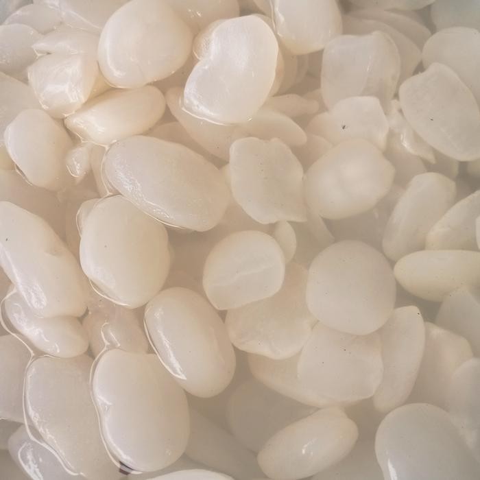 

Baru Kolang Kaling Mentah Segar - Buah Kolang-Kaling