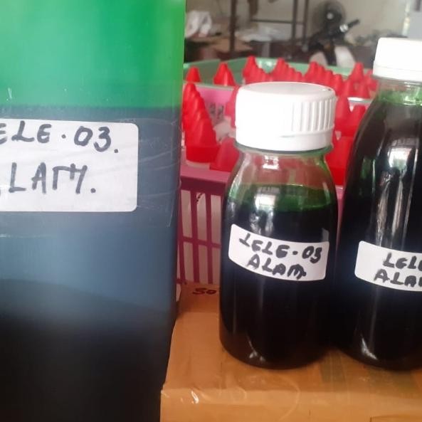 Oplosan Lele 03 _ Melati Blenok