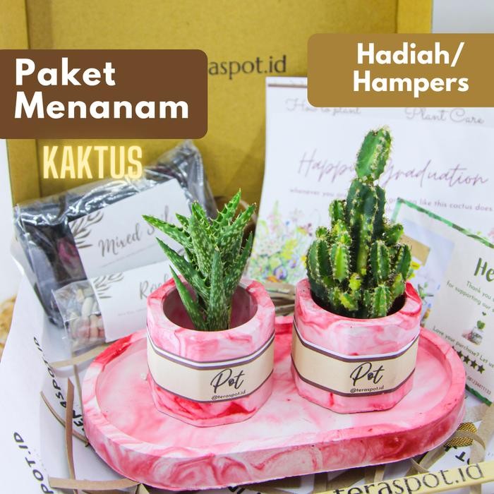 Terbaru Hadiah Planting Kit Kaktus - Paket Menanam / Hampers / Kado / Gift