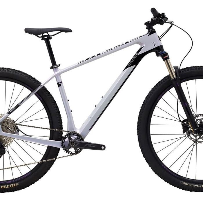 sepeda gunung mtb Frame CarbonXC POLYGON SYNCLINE C2 tahun 2021 size M