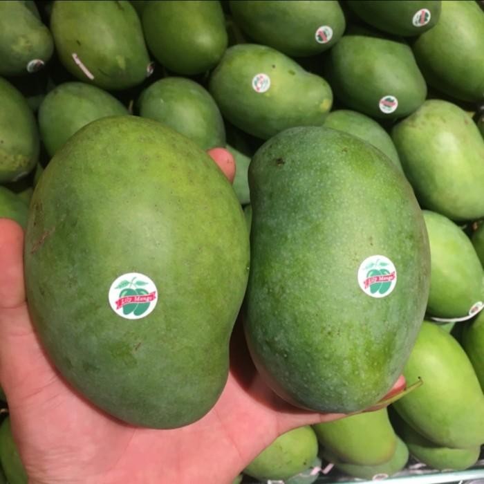 

NATURE- Mangga Harum Manis Masak Pohon Lily Mango Cherry Mangga Lily Cherry