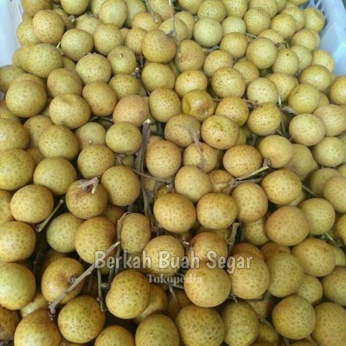 

NATURE- Kelengkeng - Lengkeng Manis