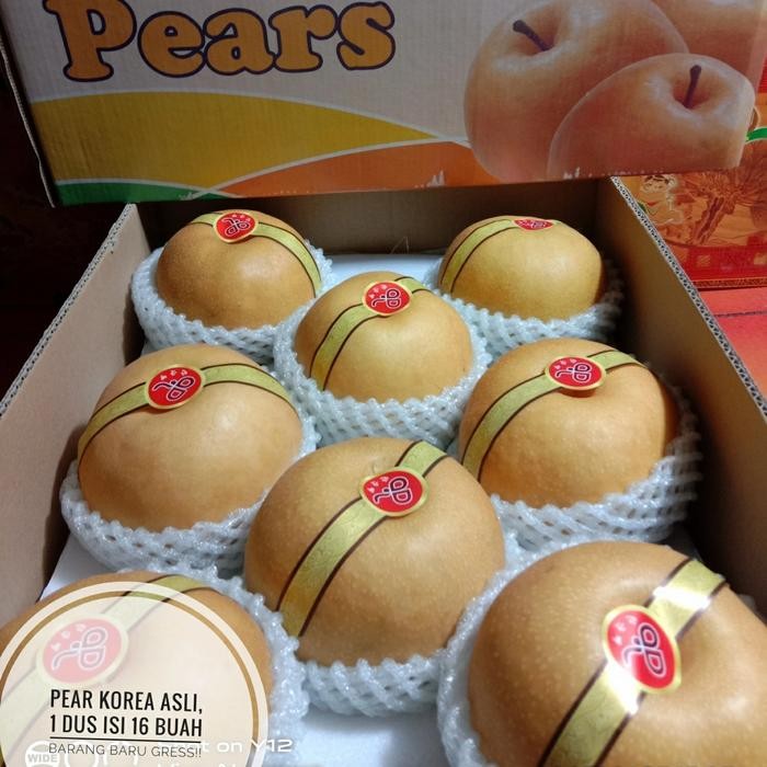 NATURE- Buah Pir Korea Pear Singo Size 16