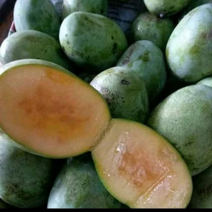 

NATURE- Buah Mangga Manalagi Madu Matang-Besar