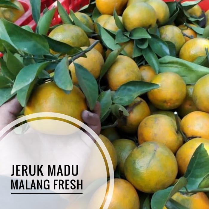 NATURE- Buah Jeruk Madu Malang / Jeruk Siam Madu Malang