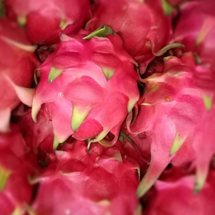 

NATURE- Buah Naga Merah Segar 1Pcs