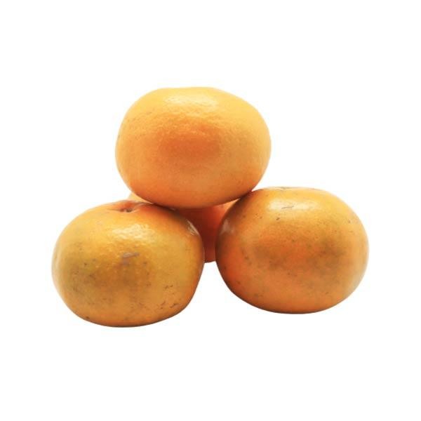 

NATURE- Jeruk Medan Super 570-590 Gr