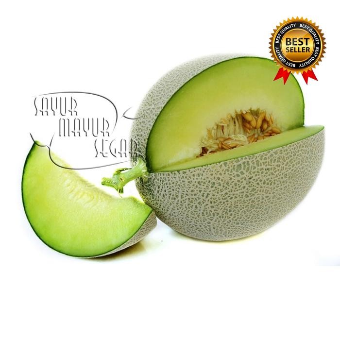 

NATURE- Melon Premium Buah Segar Dan Manis