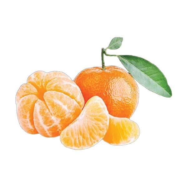 

NATURE- Jeruk Wokam 500-520 Gr - Buah