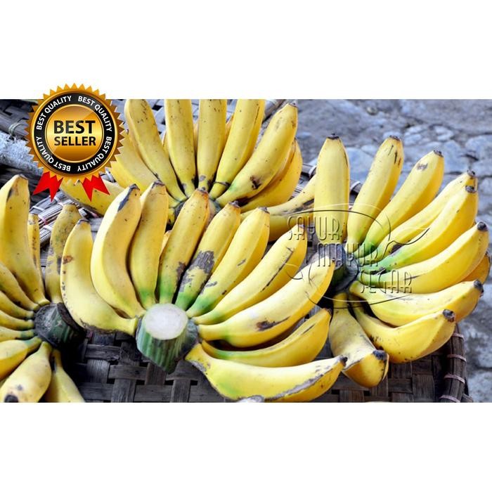 

NATURE- Pisang Raja / Sisir Buah Segar Pisang Online