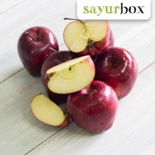 

NATURE- Apel Washington Import 500 Gram Sayurbox
