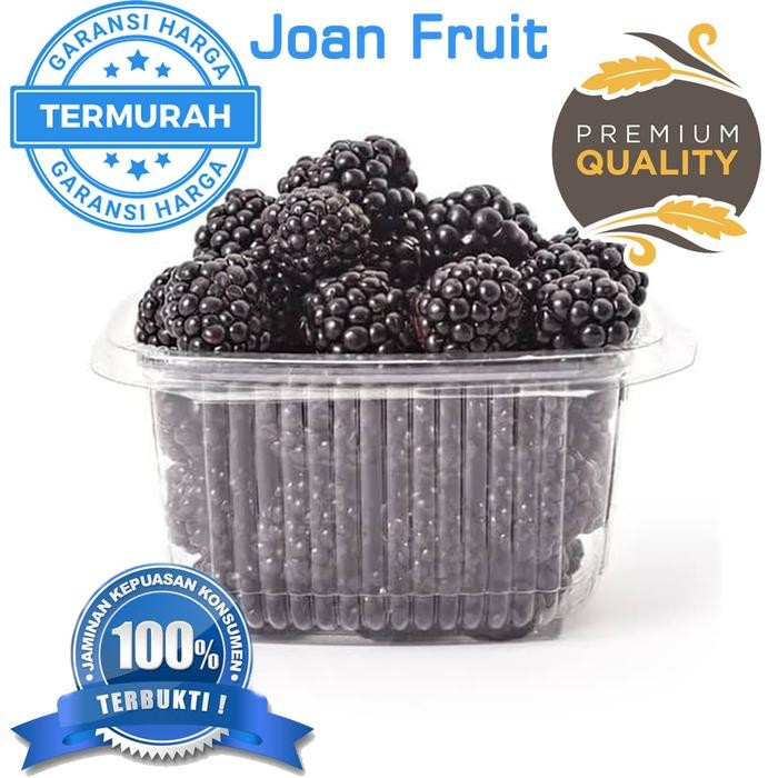 

NATURE- Buah Beku Blackberry Mulberry Frozen 1Kg Termurah Se Indonesia Murbei